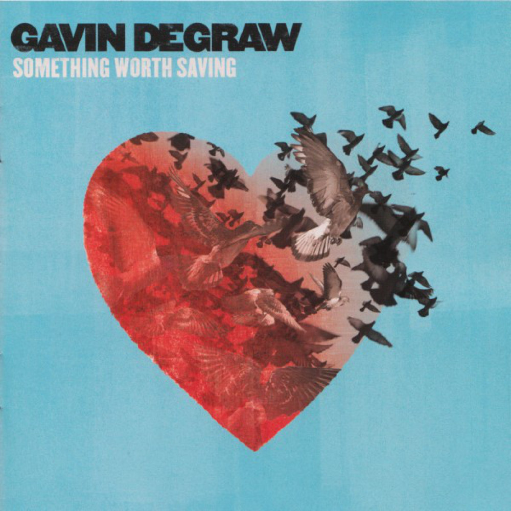 Вінілова платівка Degraw, Gavin - Something Worth Saving, 3346