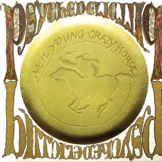 Psychedelic Pill