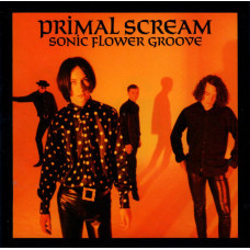 Sonic Flower Groove