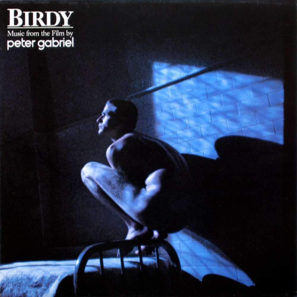 Виниловая пластинка Gabriel, Peter - Birdy, 3787