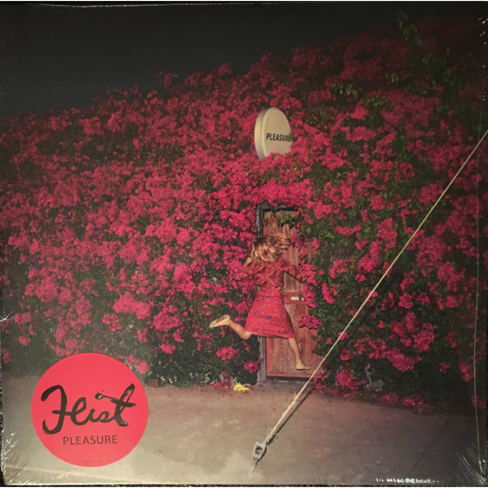 Виниловая пластинка Feist - Pleasure, 3849