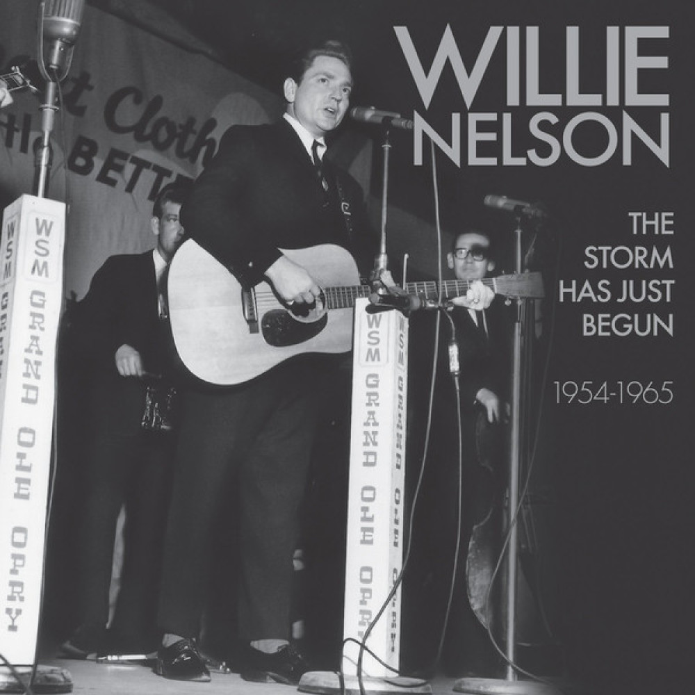 Вінілова платівка Nelson, Willie - Storm Has Just Begun, 3938