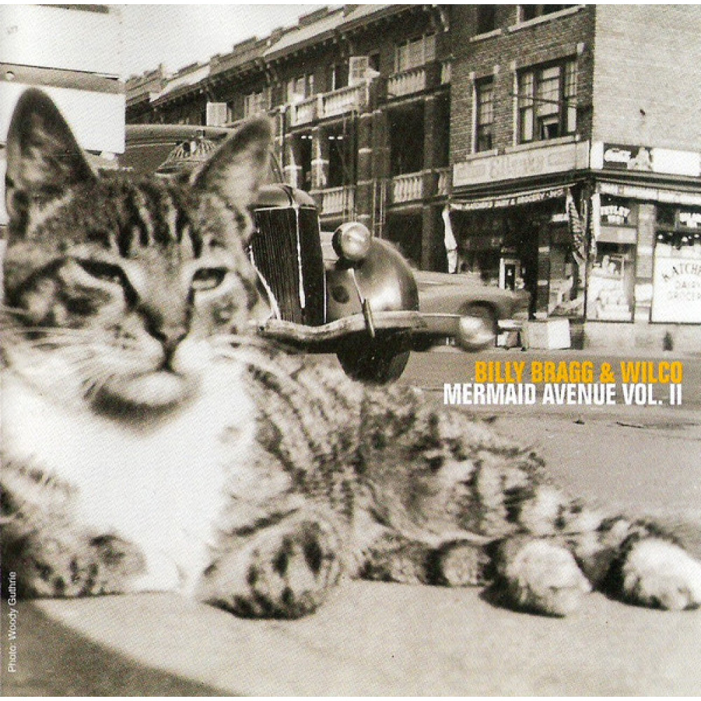 Вінілова платівка Bragg, Billy - Mermaid Avenue Vol.Ii, 3995