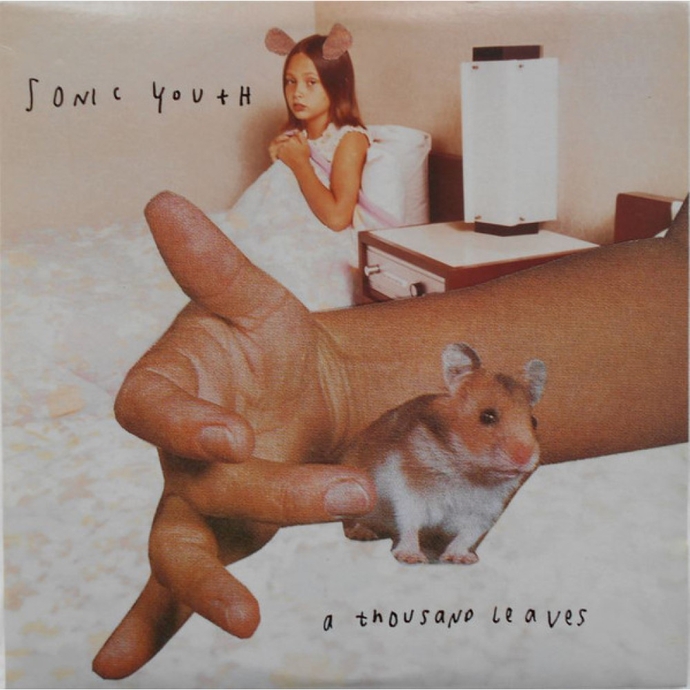 Виниловая пластинка Sonic Youth - A Thousand Leaves, 4113