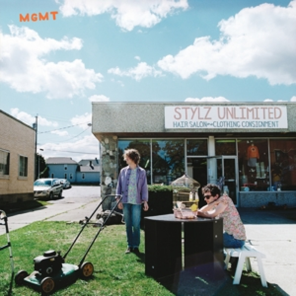 Виниловая пластинка MGMT - MGMT, 429