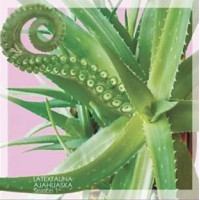 LATEXFAUNA - Ajahuaska (Season 1)