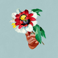 Maribou State - Kingdoms In Color