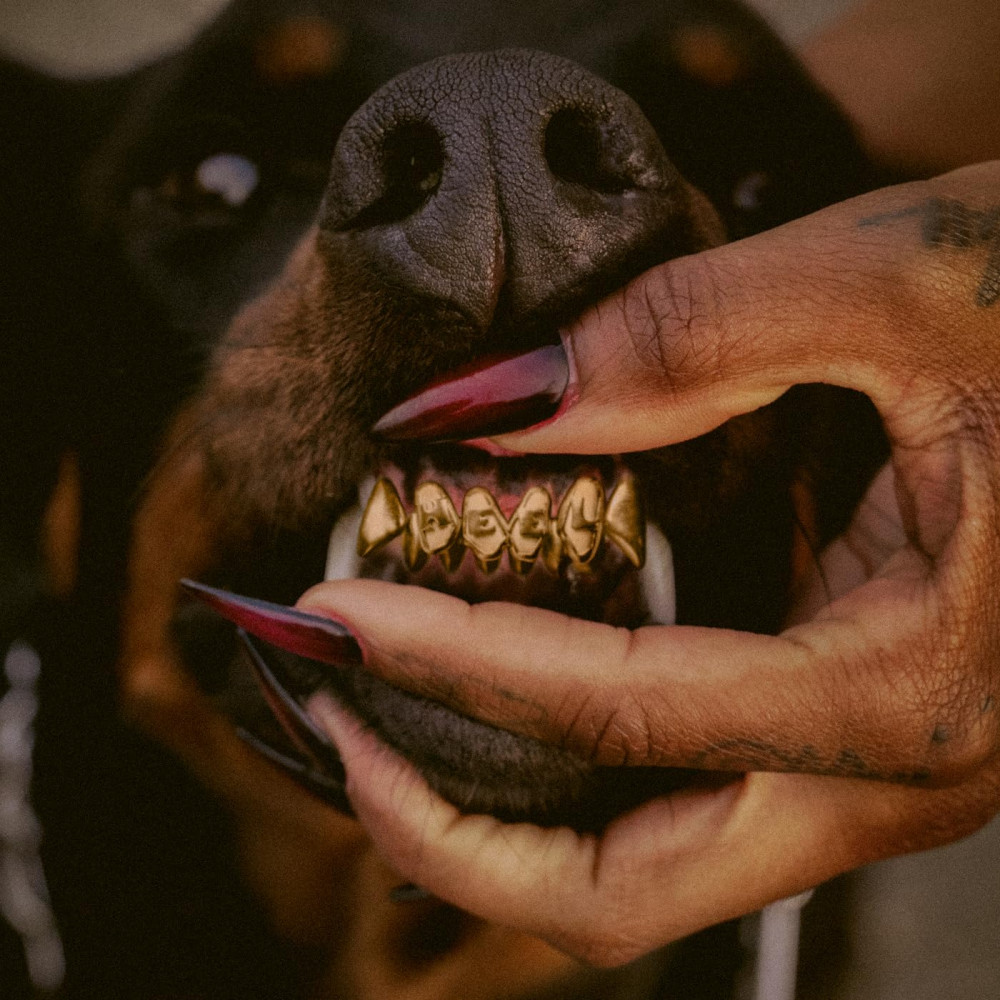 Leon Thomas - Mutt Deluxe: Heel