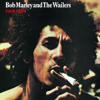 Catch a Fire -180gr.-
