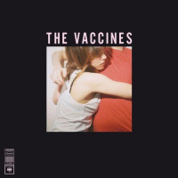 What Did You Expect From the Vaccines? (Anniversary Edition)