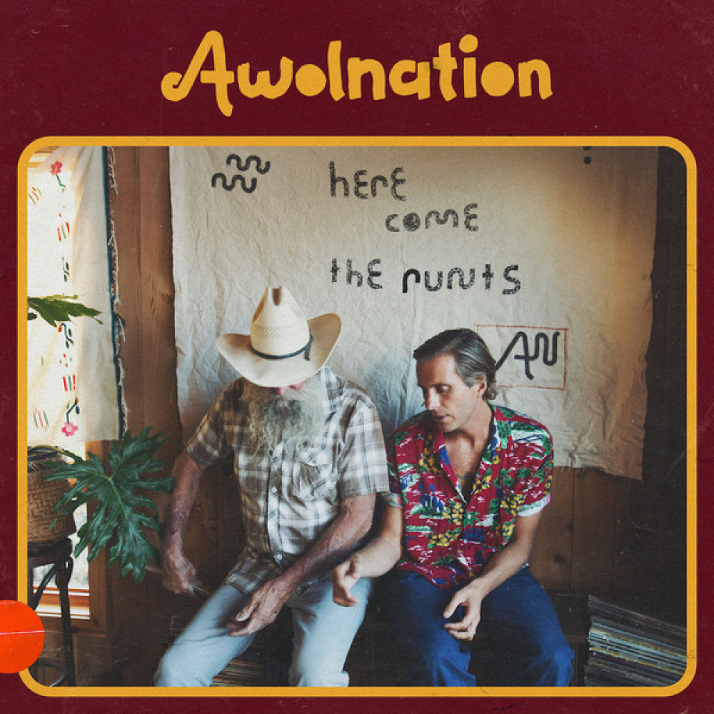 Виниловая пластинка Awolnation - Here Come the Runts, 6255