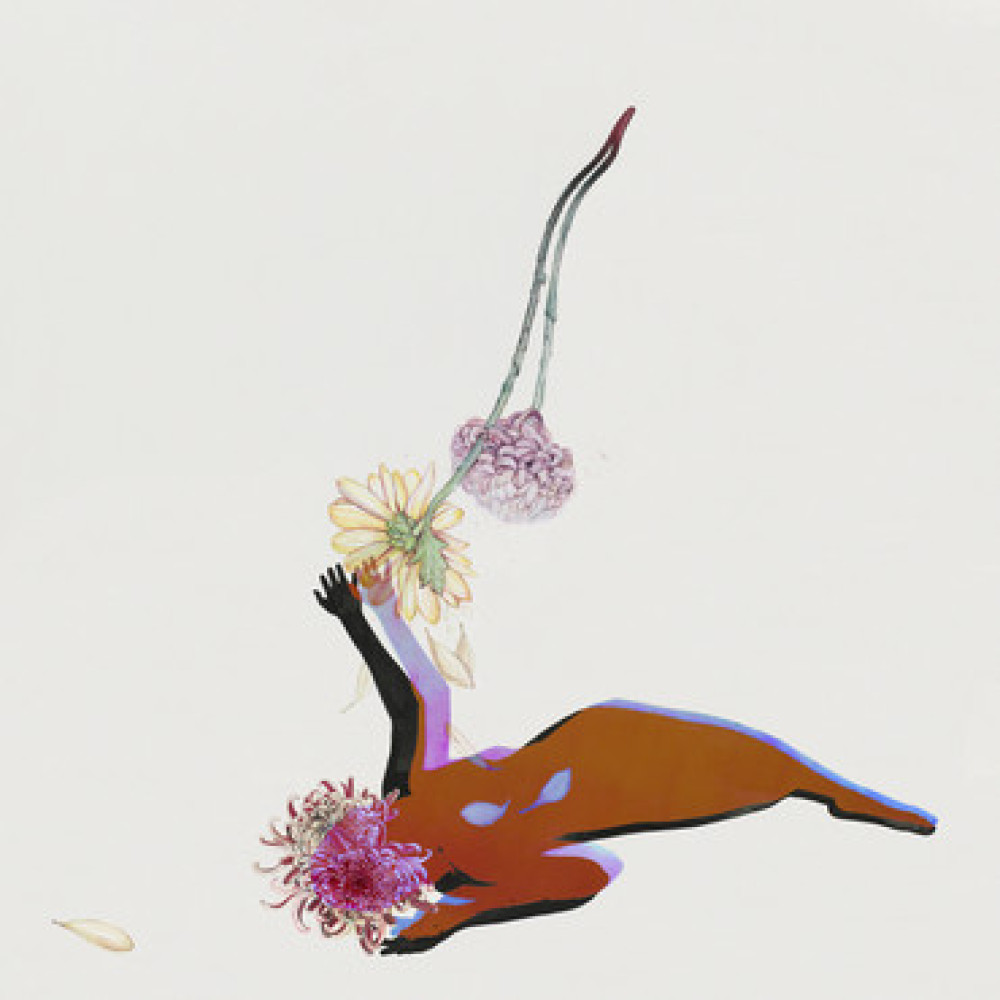 Виниловая пластинка FUTURE ISLANDS - Far Field, 6893