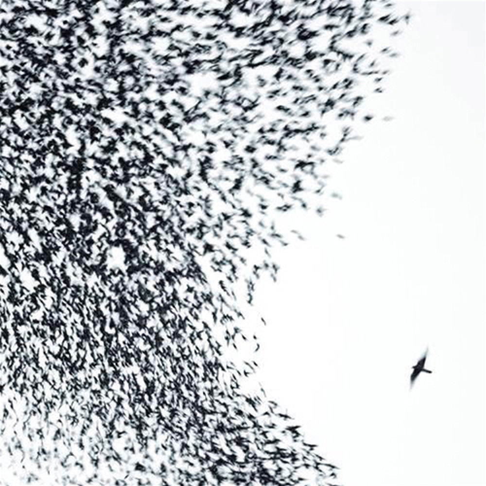 Виниловая пластинка Wilco - Sky Blue Sky, 6962