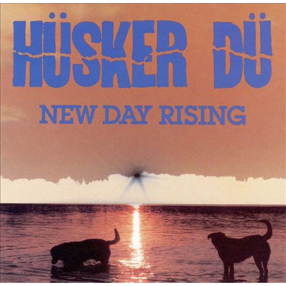Виниловая пластинка HUSKER DU - New Day Rising, 6983