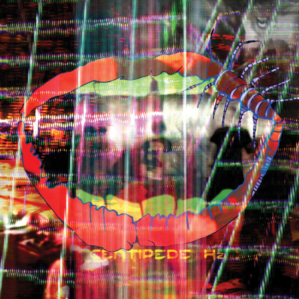 Виниловая пластинка Animal Collective - Centipede Hz, 7012