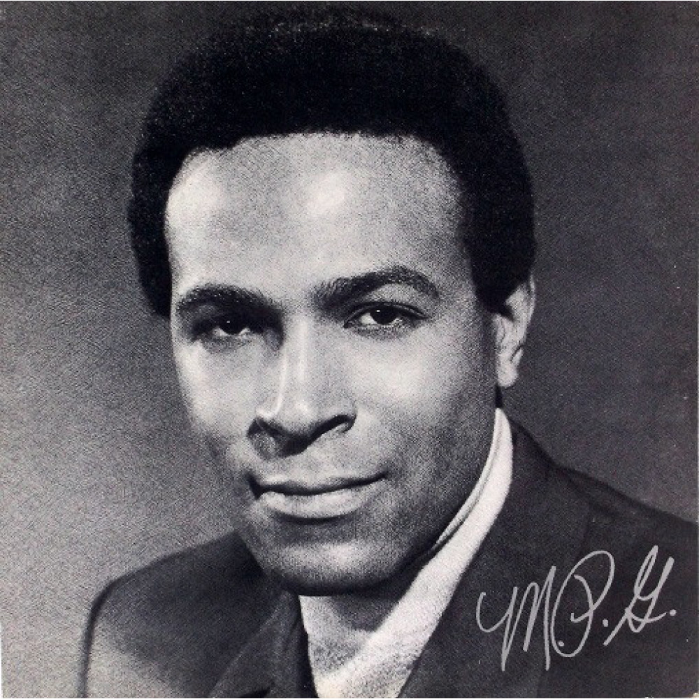 Виниловая пластинка Gaye, Marvin - M.P.G, 4253