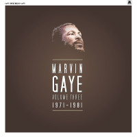 Marvin Gaye Volume 3 1971 - 1981