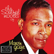Soulful Moods of Marvin Gaye