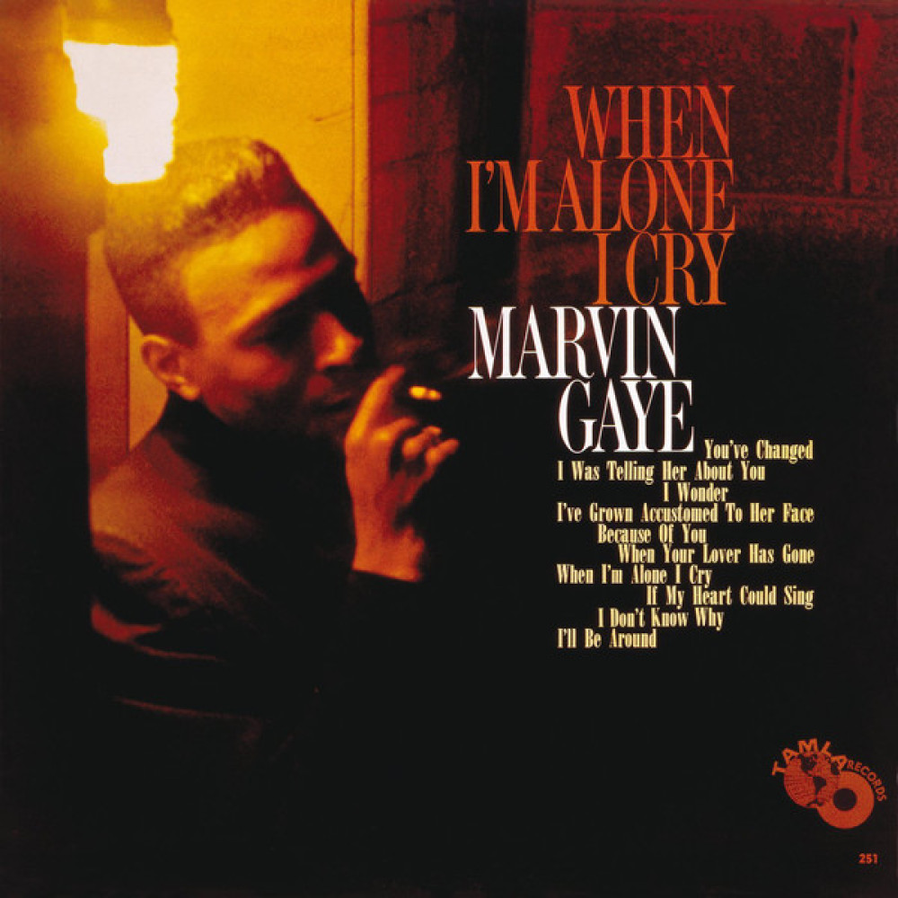 Виниловая пластинка Gaye, Marvin - When I'm Alone I Cry, 4268