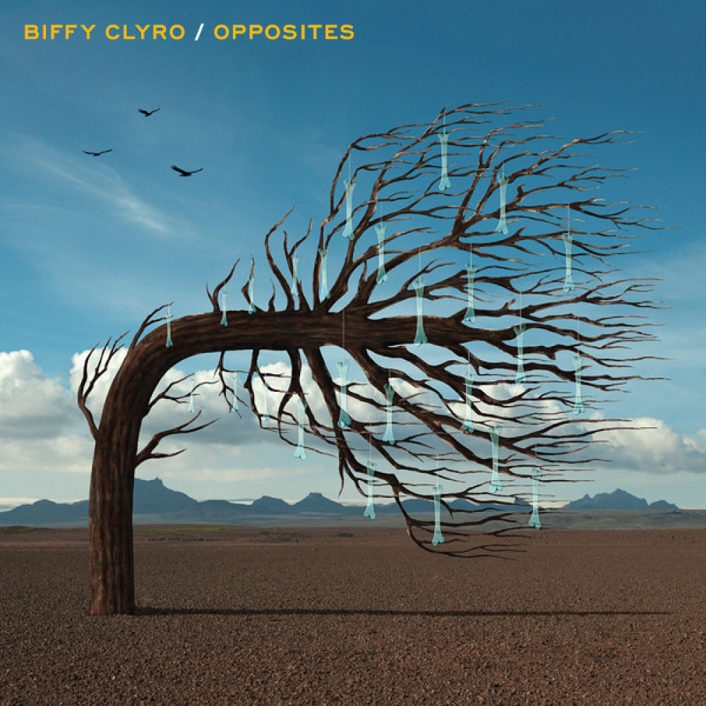 Виниловая пластинка Biffy Clyro - Opposites, 4452