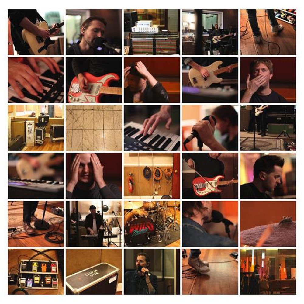 Виниловая пластинка Wild Beasts - Last Night All My Dreams Came True, 5511