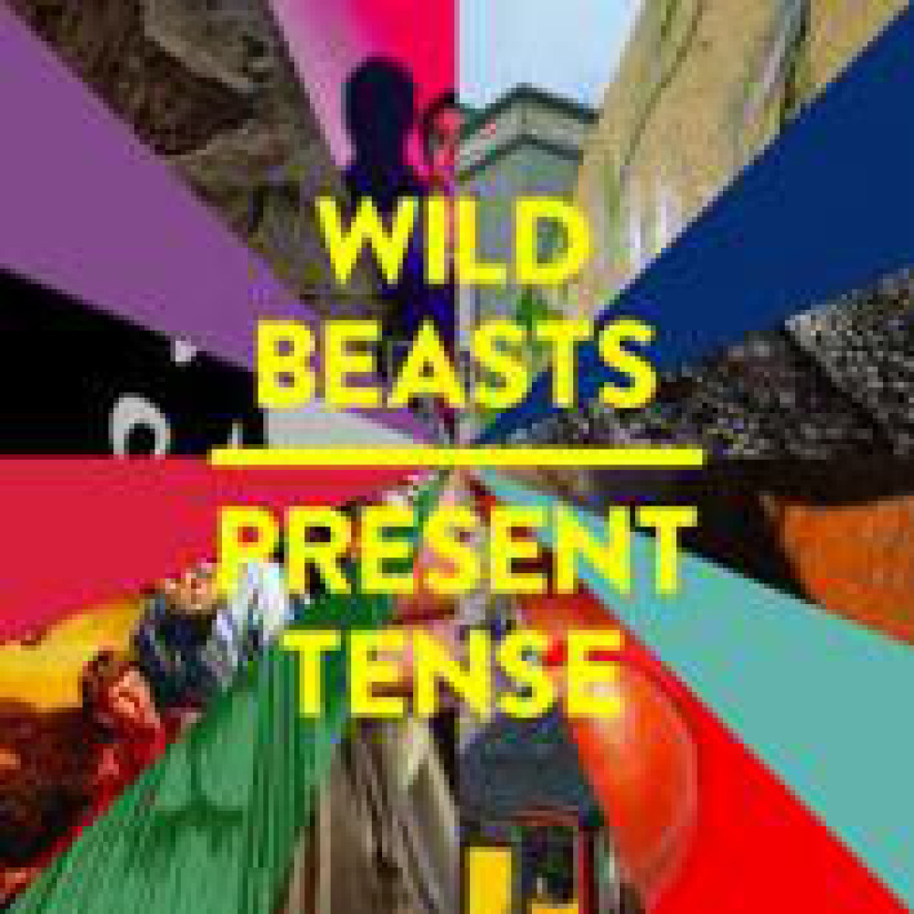 Виниловая пластинка Wild Beasts - Present Tense, 5513