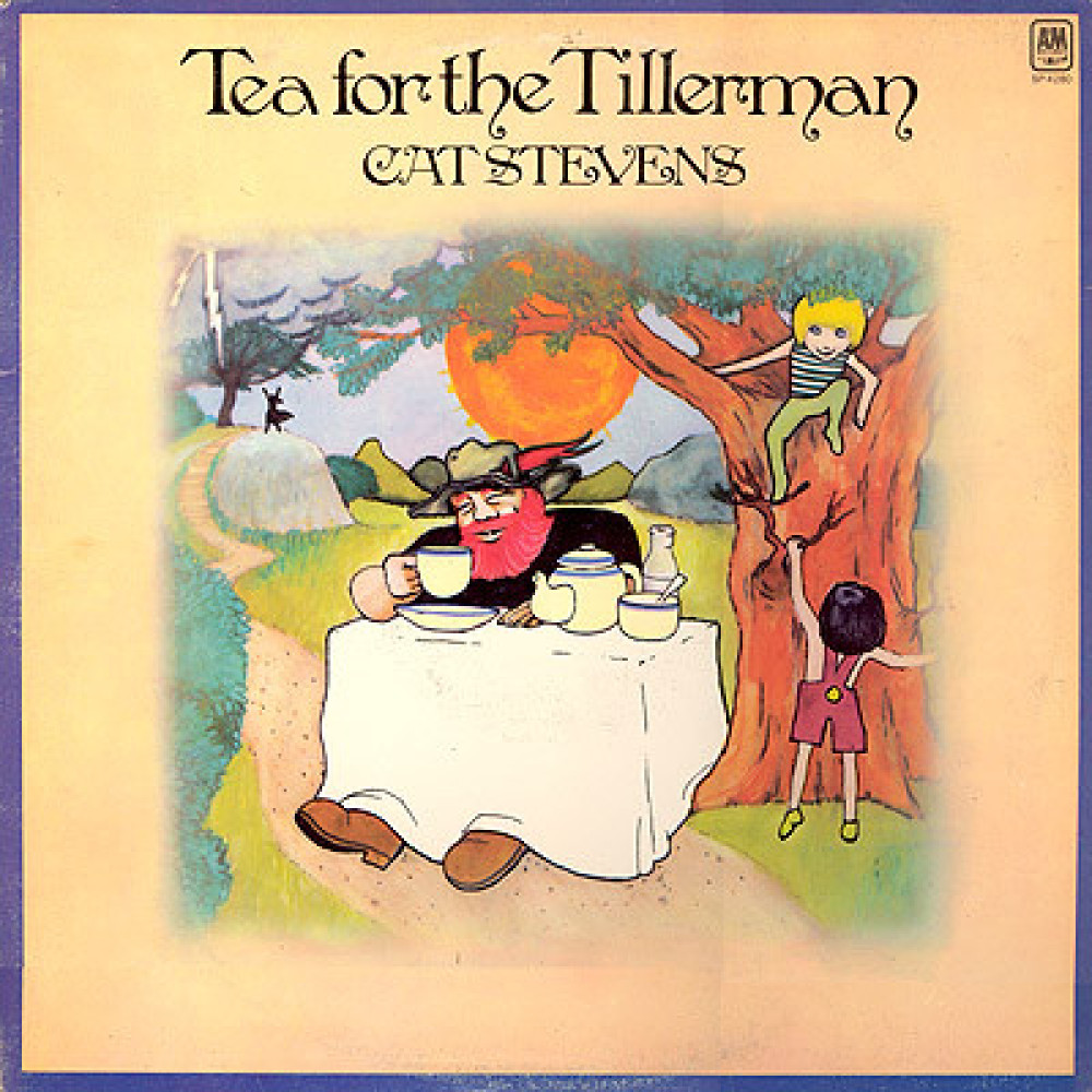 Виниловая пластинка Stevens, Cat - Tea For the Tillerman, 5528