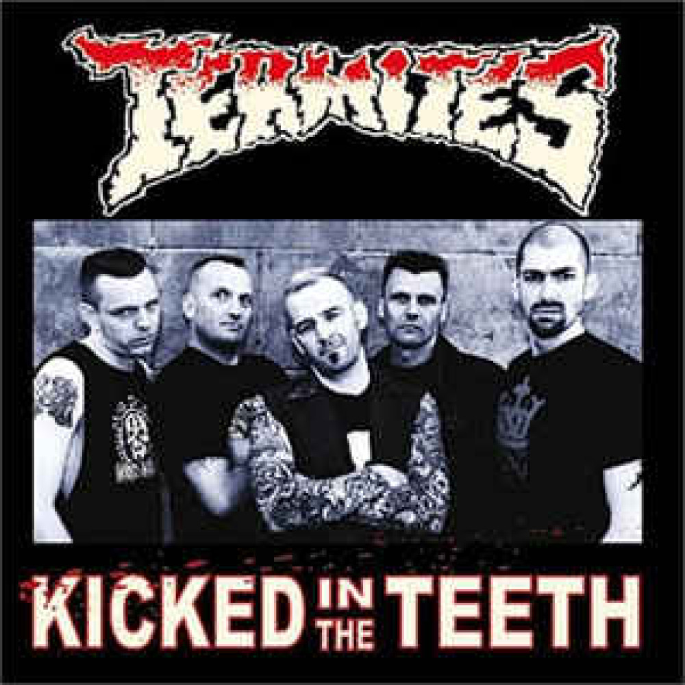 Виниловая пластинка Termites - Kicked In the Teeth, 5570