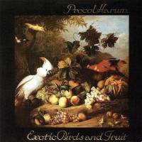 Exotic Birds and Fruit