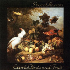 Exotic Birds and Fruit