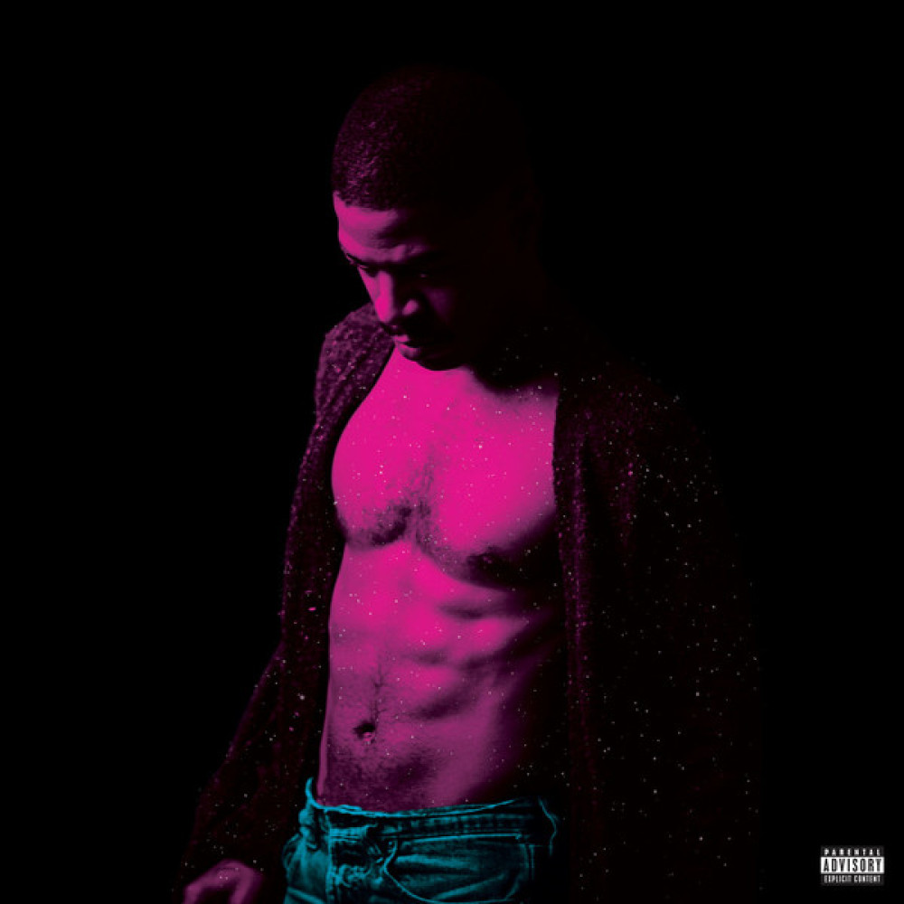 Виниловая пластинка Kid Cudi - Passion, Pain & Demon Slayin', 5828