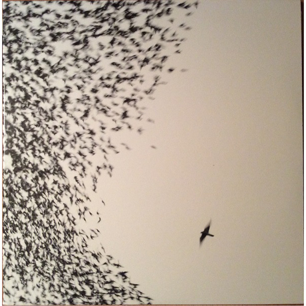 Виниловая пластинка Wilco - Sky Blue Sky =Hq Vinyl=, 5912