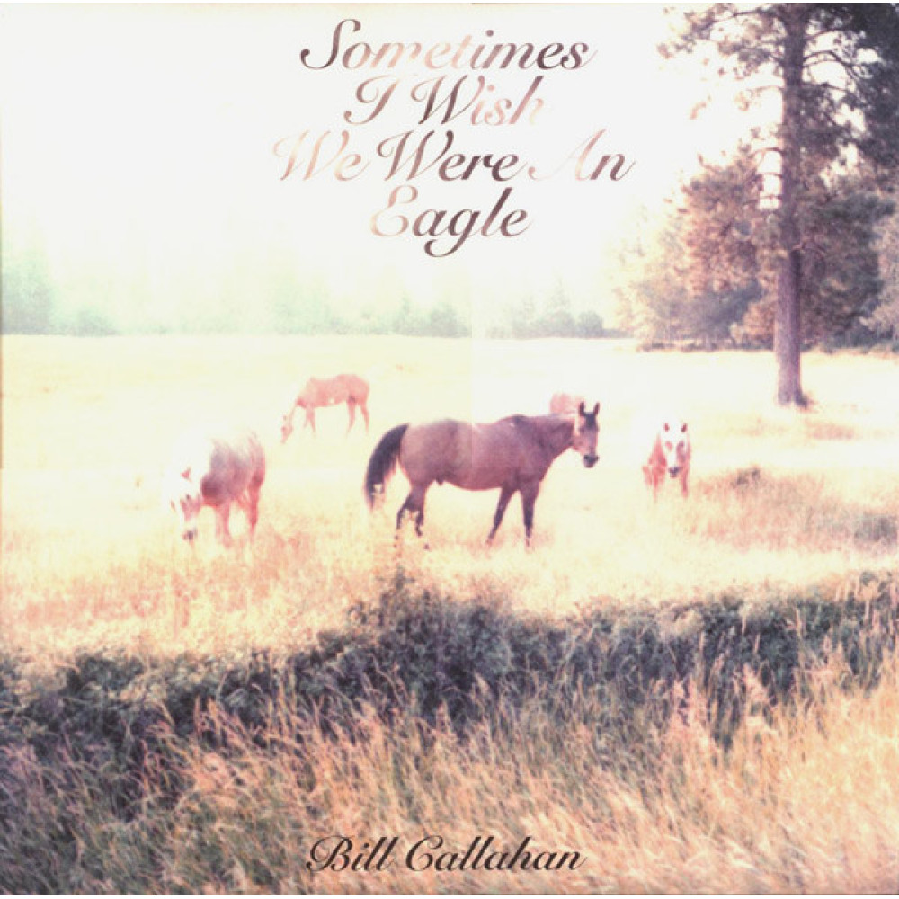 Виниловая пластинка Callahan, Bill - Sometimes I Wish We Were, 5943