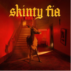 Fontaines D.C. - Skinty Fia