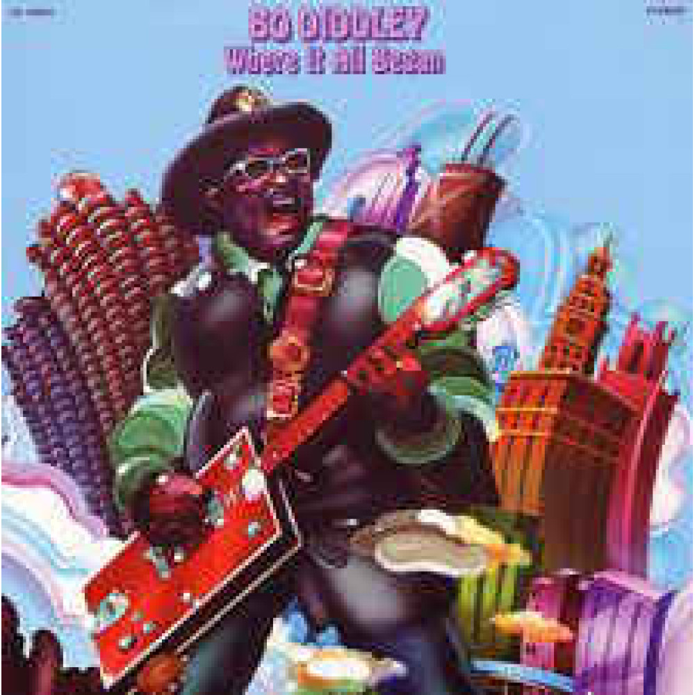 Виниловая пластинка DIDDLEY, BO - Where It All Began, 7533