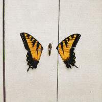 Paramore - Brand New Eyes