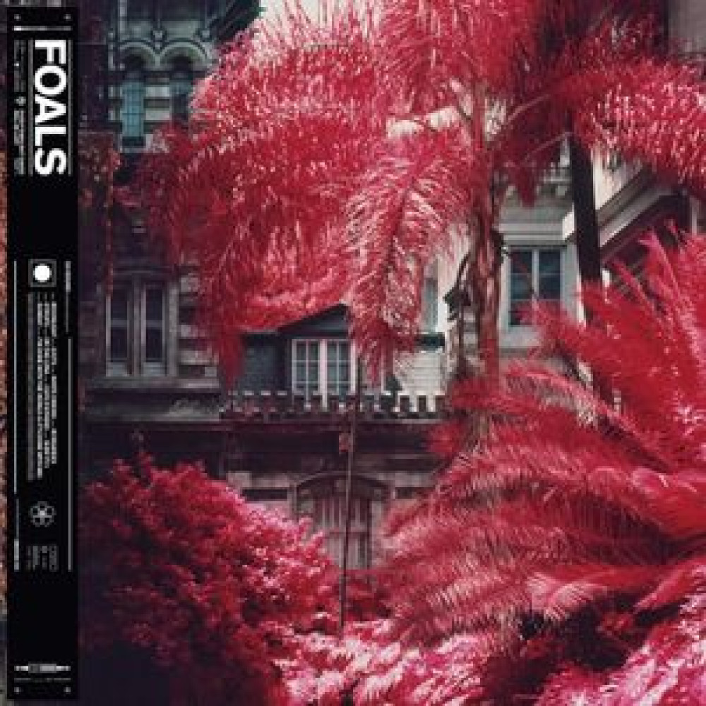 Вінілова платівка Foals - Everything Not Saved Will Be Lost, Part 1, 7582