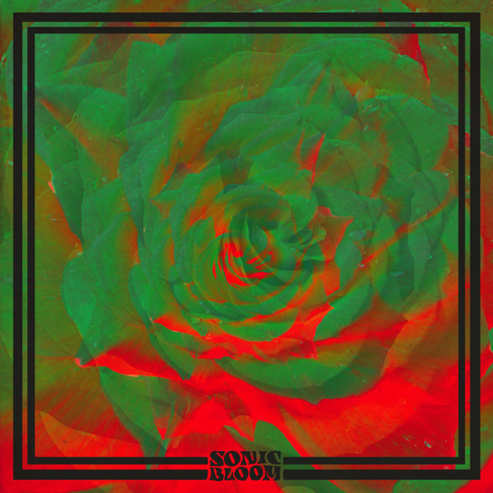 Вінілова платівка Night Beats - Sonic Bloom, 7598