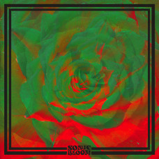 Sonic Bloom