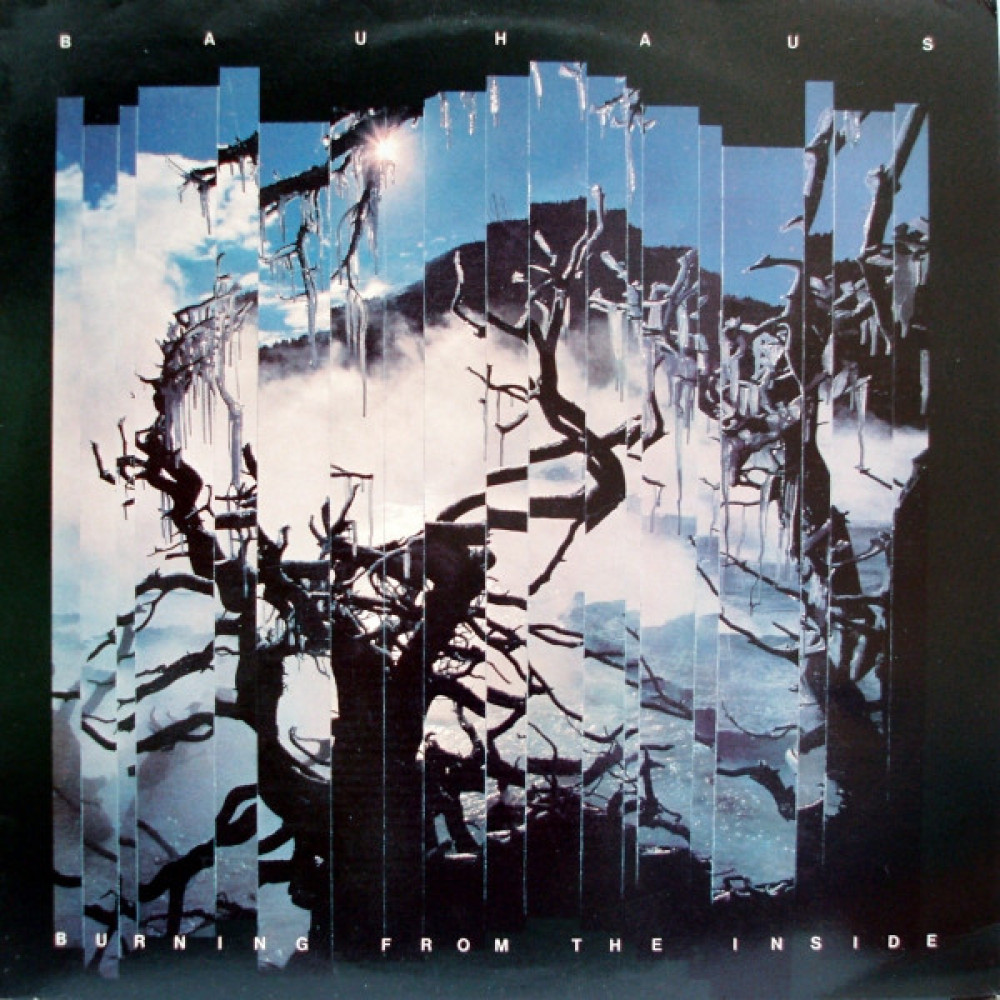 Вінілова платівка Bauhaus - Burning From the Inside, 7616