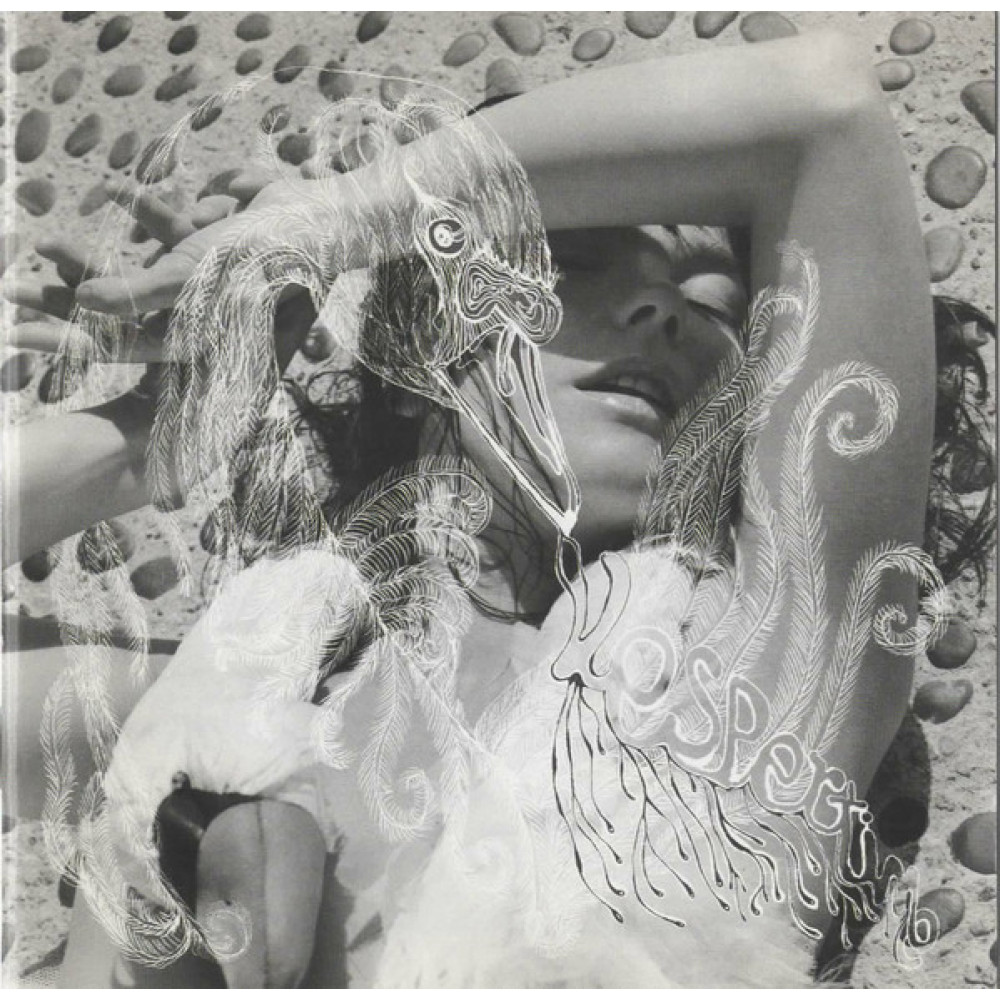 Виниловая пластинка Bjork  - Vespertine, 7758