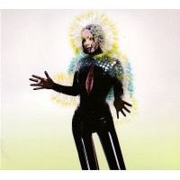 Björk - Vulnicura