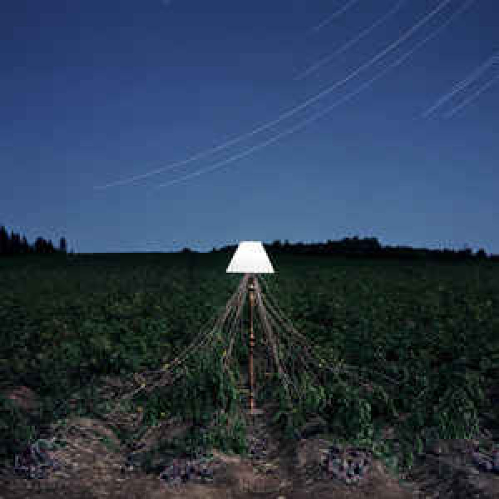 Виниловая пластинка BEACON - Escapements, 7819