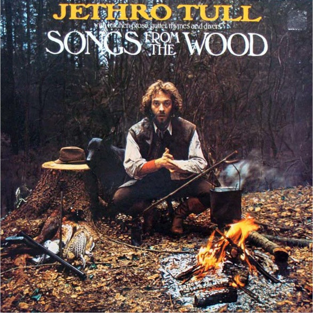 Виниловая пластинка Jethro Tull - Songs From the Wood, 7931