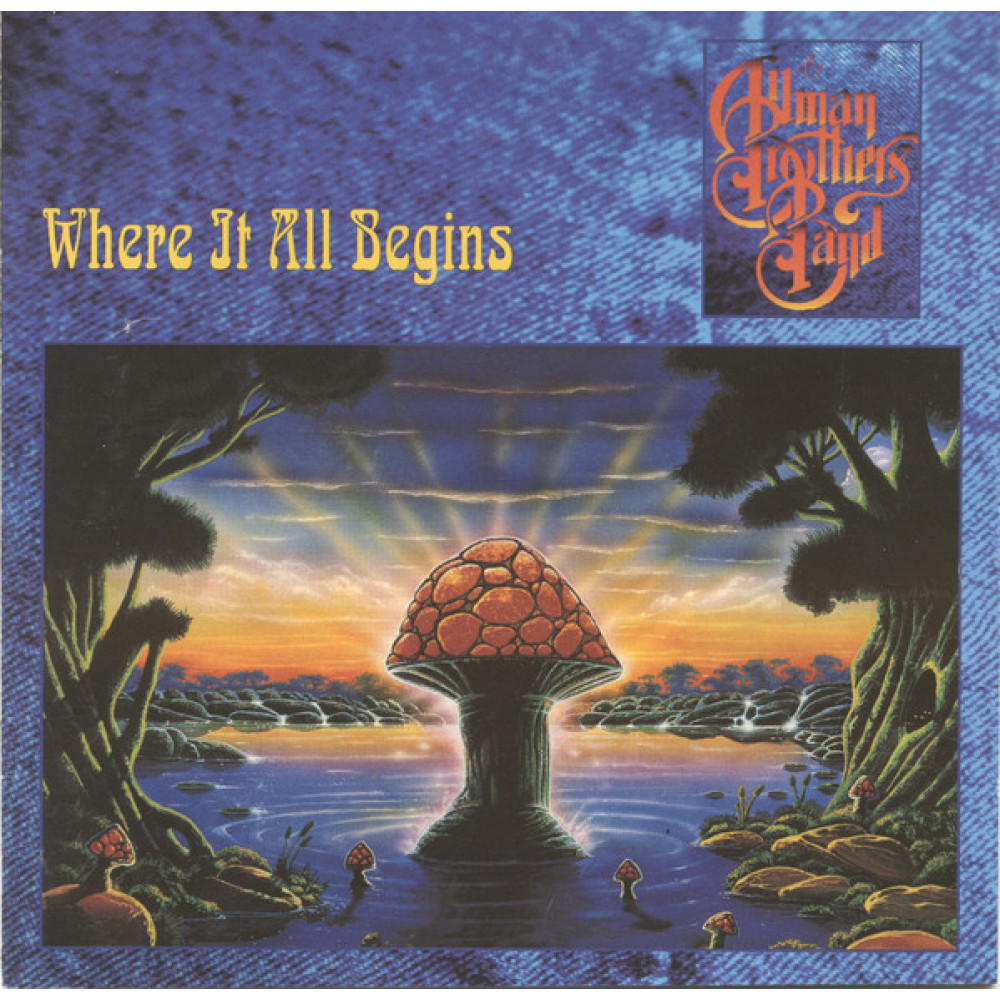Виниловая пластинка ALLMAN BROTHERS BAND - Where It All Begins, 7987