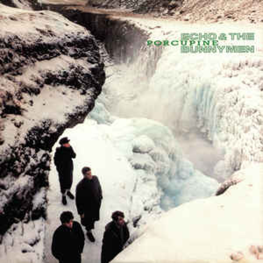Вінілова платівка ECHO & THE BUNNYMEN - Porcupine, 8140