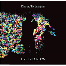 Live In London