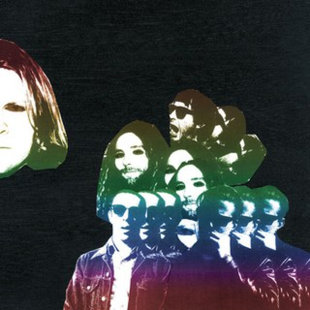 Виниловая пластинка SEGALL, TY - Freedom's Goblin, 8149