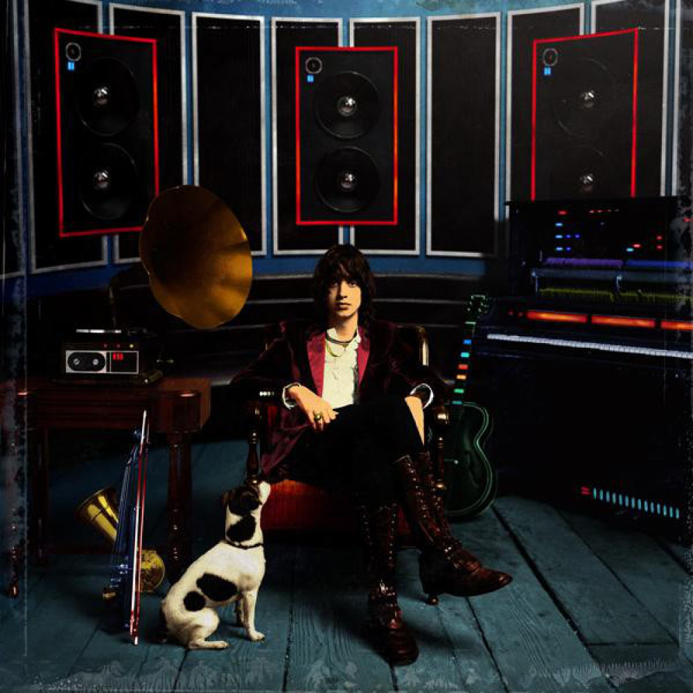 Вінілова платівка CASABLANCAS, JULIAN - Phrazes For the Young, 8167
