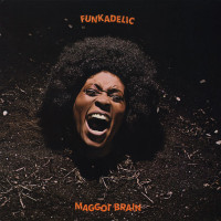 Funkadelic - Maggot Brain